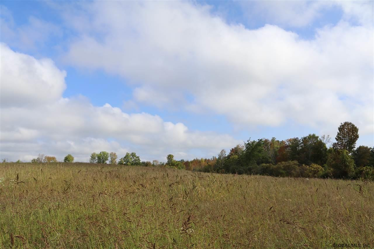 0 Simons Road Altamont, NY 12009 - Photo 8 of 13 Photo 8