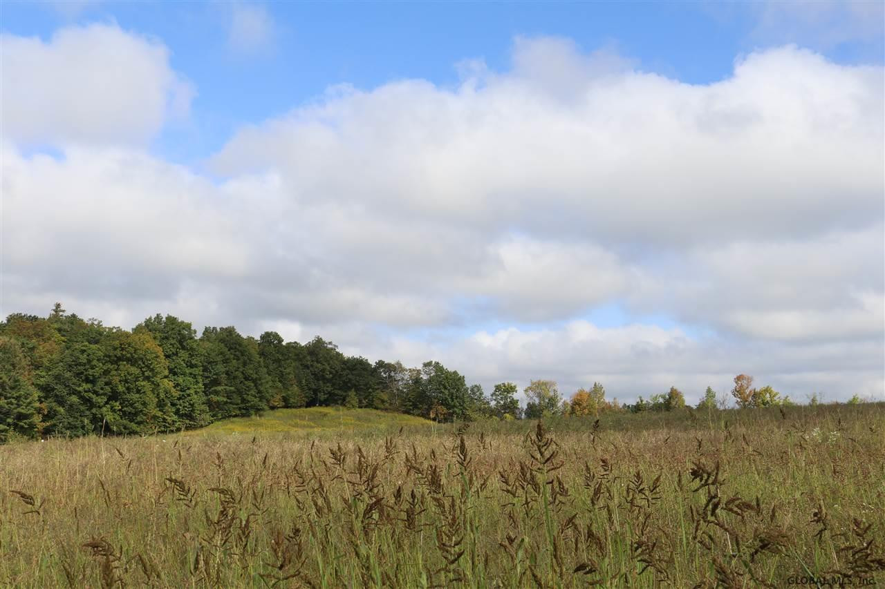 0 Simons Road Altamont, NY 12009 - Photo 9 of 13 Photo 9