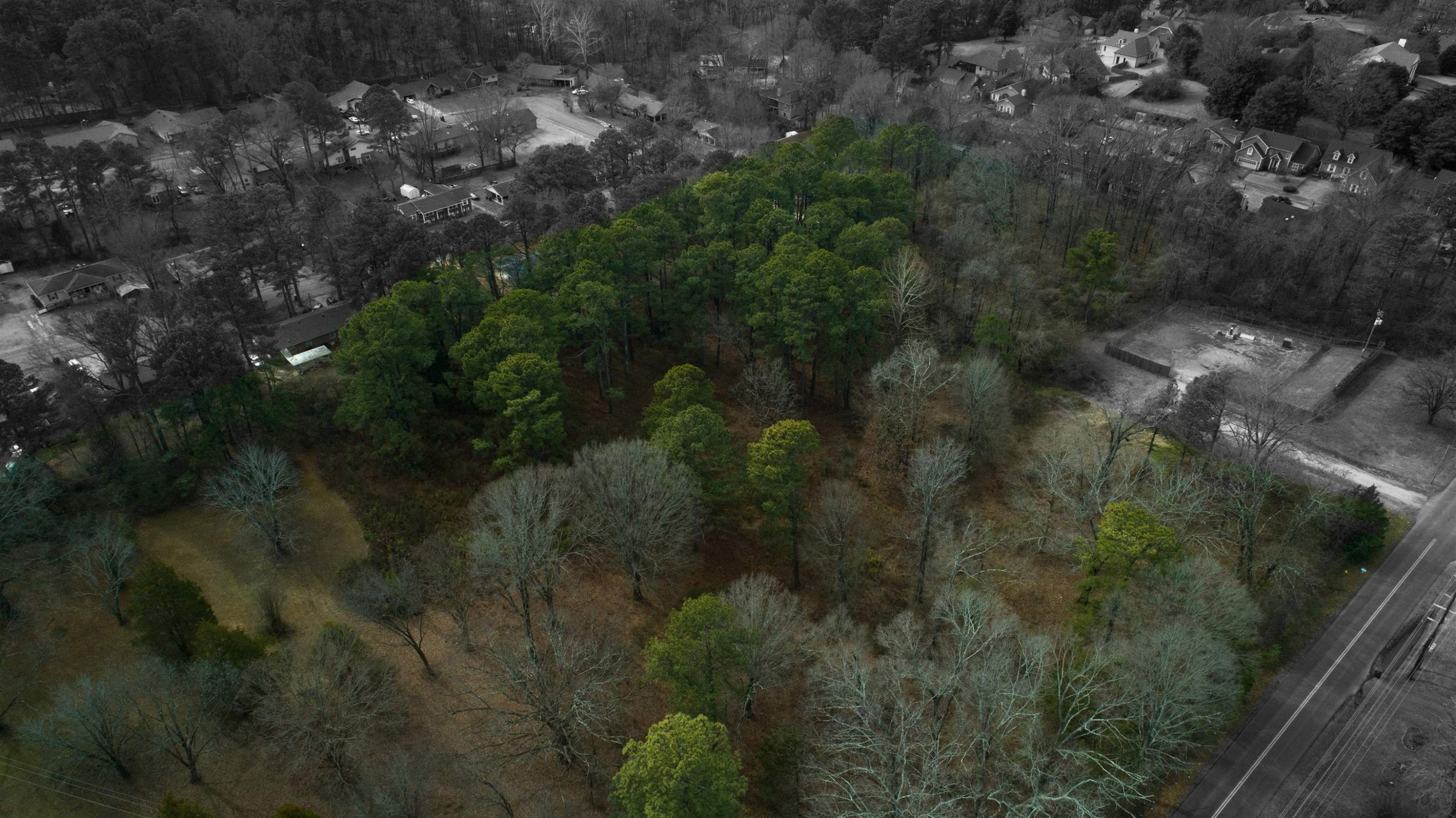 160 Wiley Parker Road Jackson, TN 38305 - Photo 2 of 8 Photo 2