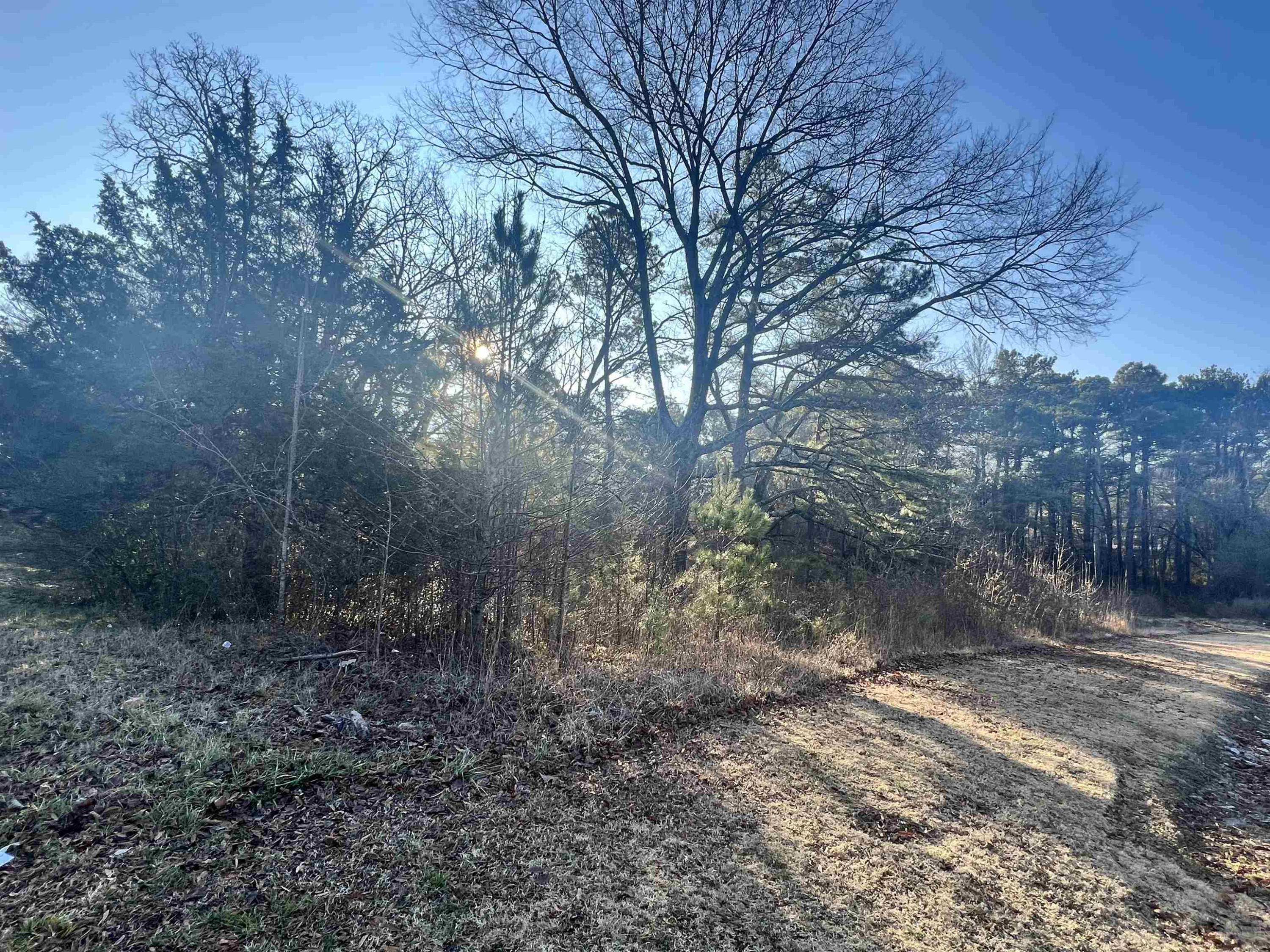 160 Wiley Parker Road Jackson, TN 38305 - Photo 5 of 8 Photo 5