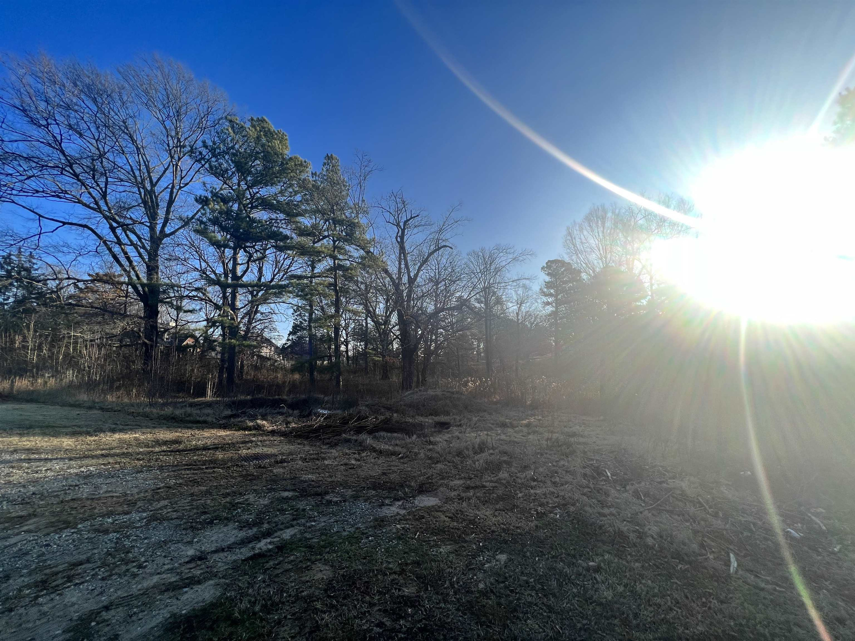 160 Wiley Parker Road Jackson, TN 38305 - Photo 6 of 8 Photo 6