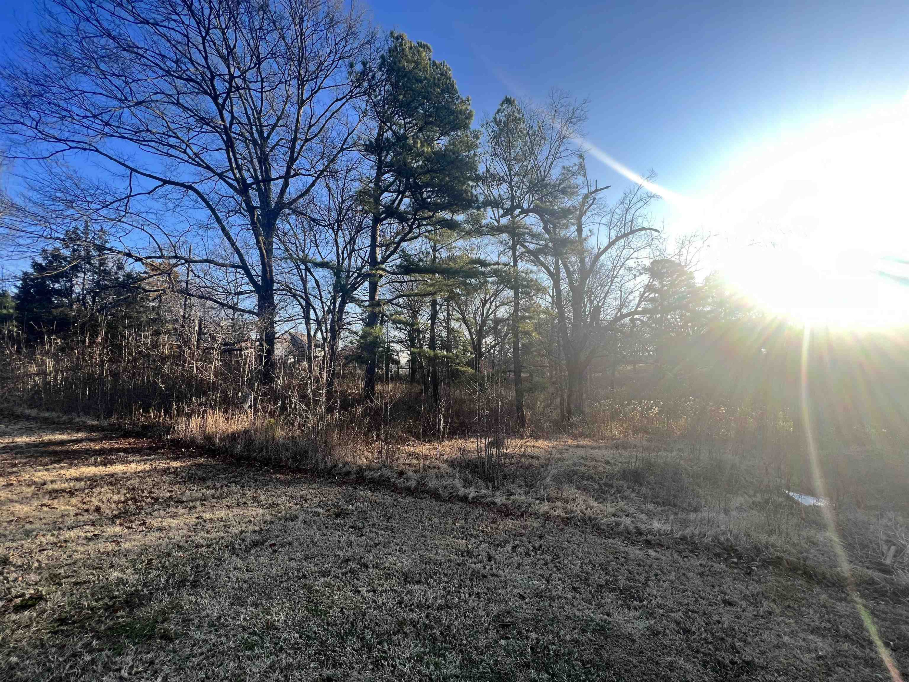 160 Wiley Parker Road Jackson, TN 38305 - Photo 8 of 8 Photo 8