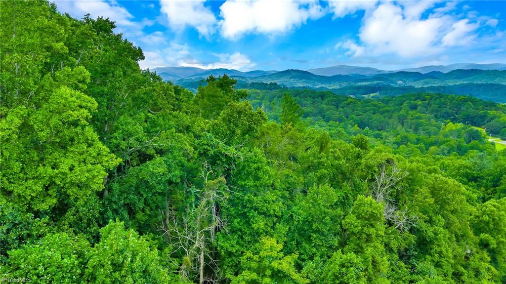 Tbd Tbd Deep Ford Road Lansing, NC 28643 - Photo 8 of 21