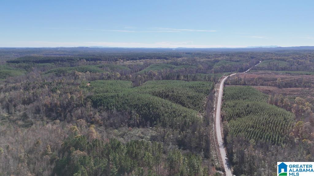 0 County Road 65 Fruithurst, AL 36262 - Photo 13 of 14