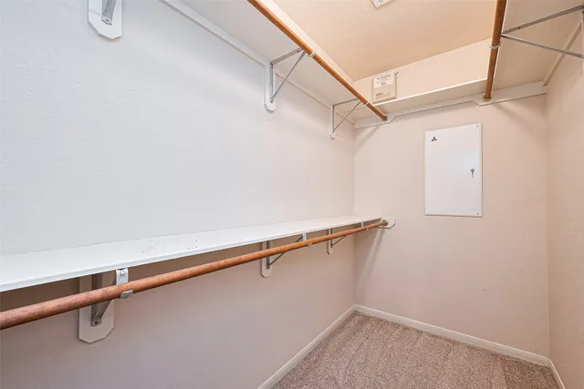 a view of a backyard with plants and large tree