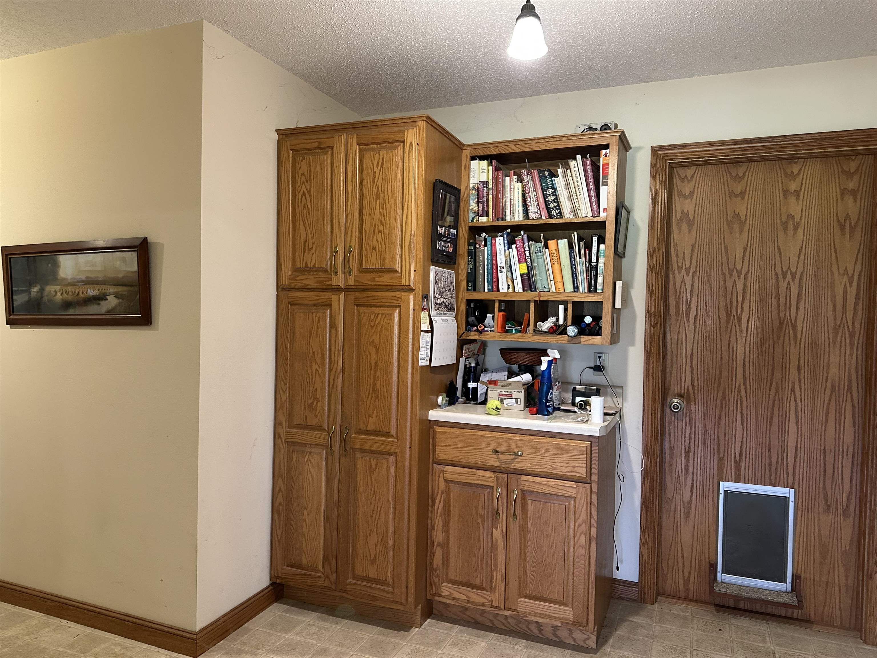 16529 Scenic Palisades Road Mount Carroll, IL 61053 - Photo 10 of 39 a view of a livingroom with shelves