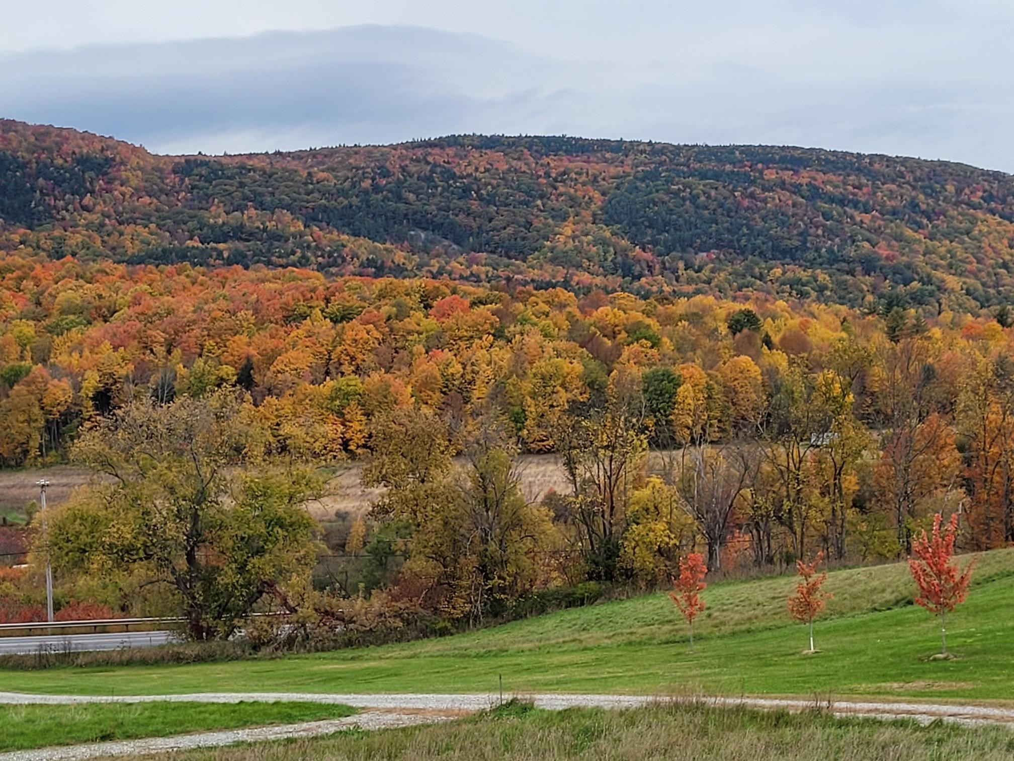 3568 Rte 116, Unit 4 Starksboro, VT 05487 - Photo 8 of 13 Gallery Image 8