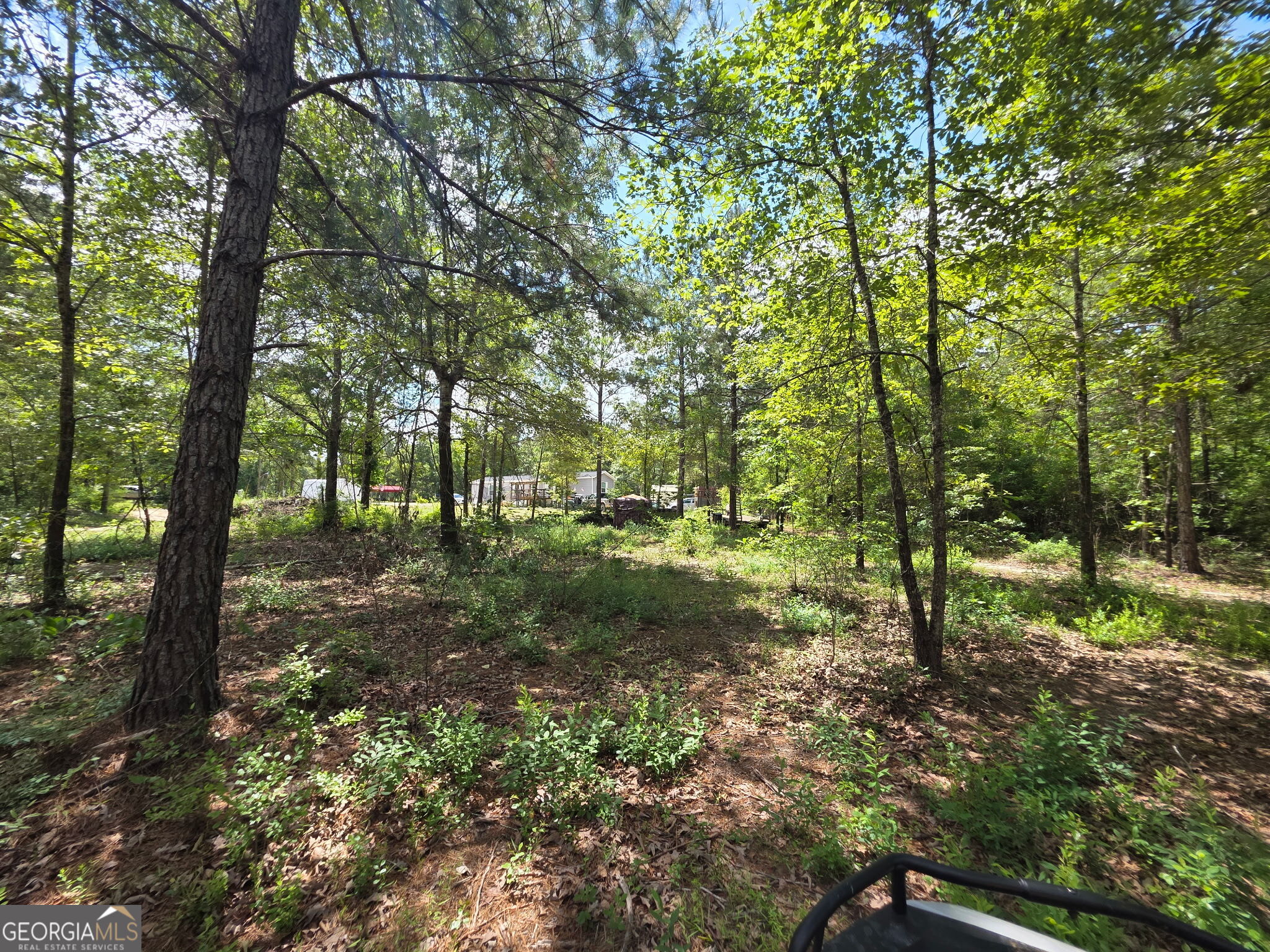 1667 Richard Moore Road Dublin, GA 31021 - Photo 11 of 43