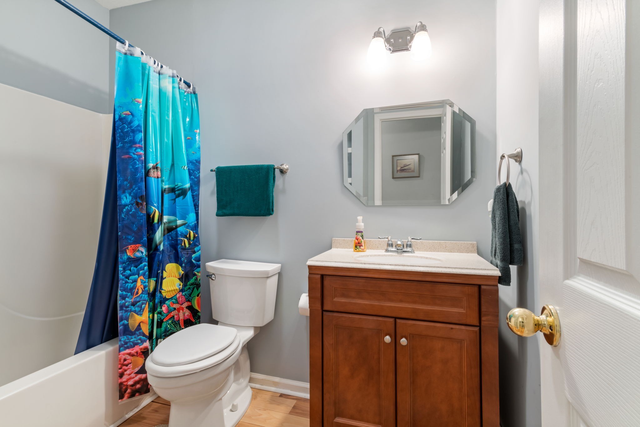 5935 Dividing Ridge Road Goodlettsville, TN 37072 - Photo 19 of 26 Full bath with tub/shower combo in the basement.