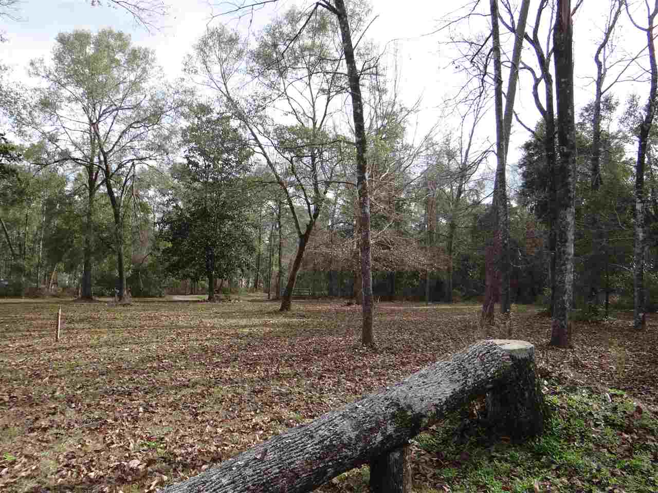 588 Forest Road Havana, FL 32333 - Photo 1 of 21 Gallery Image 1