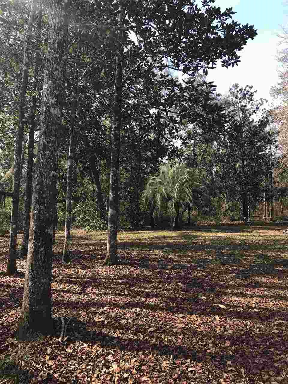588 Forest Road Havana, FL 32333 - Photo 19 of 21 Gallery Image 19