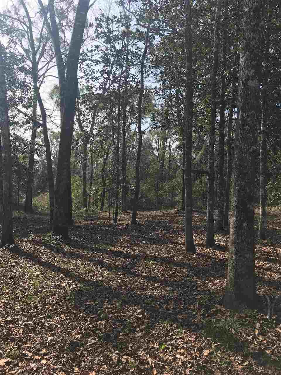 588 Forest Road Havana, FL 32333 - Photo 20 of 21 Gallery Image 20