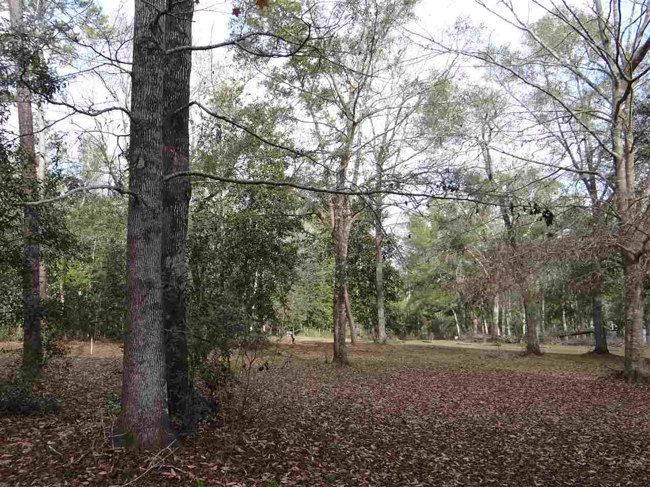 588 Forest Road Havana, FL 32333 - Photo 2 of 21 Gallery Image 2
