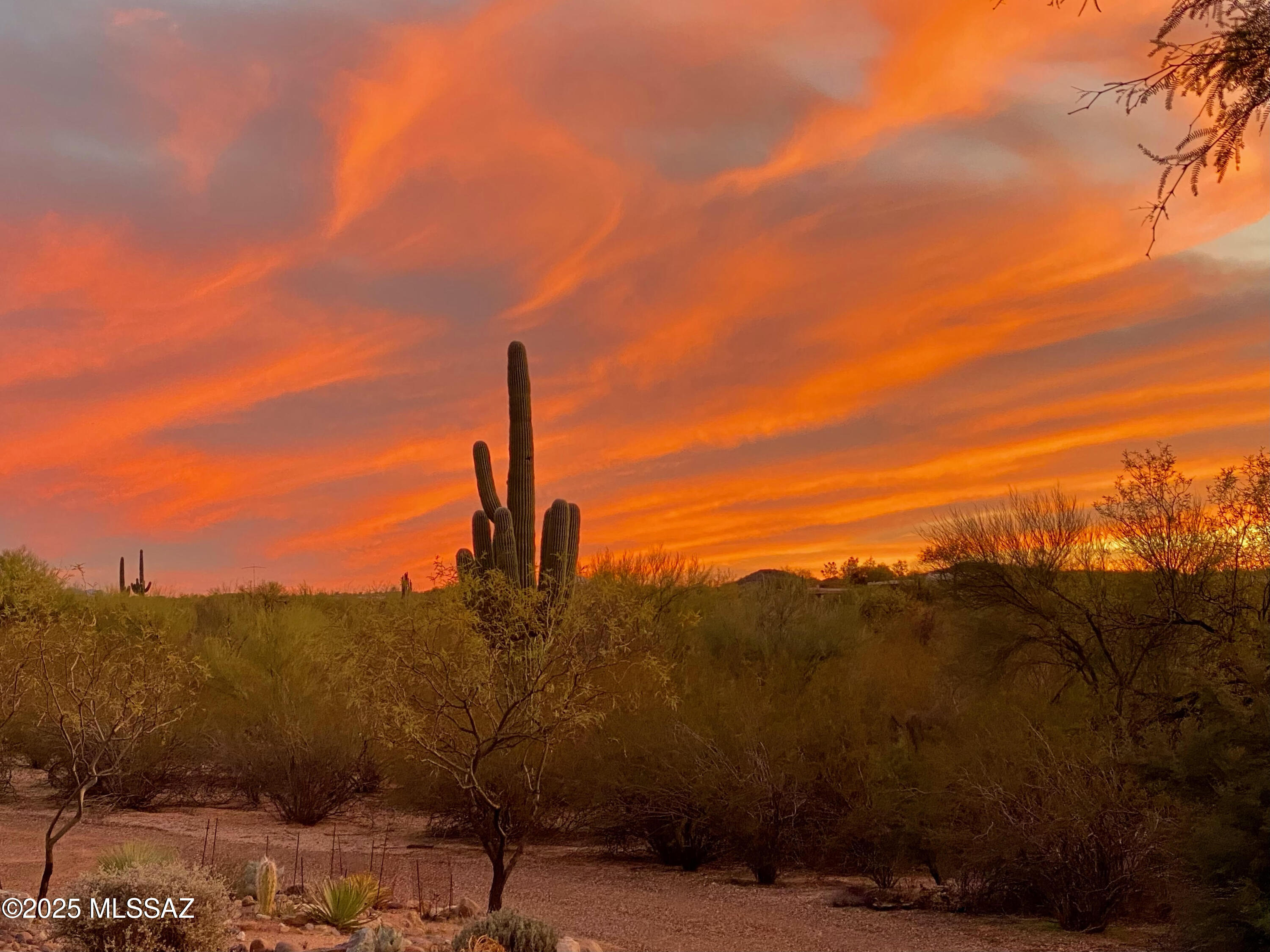 675 North Freeman Road Tucson, AZ 85748 - Photo 31 of 32 Sunset