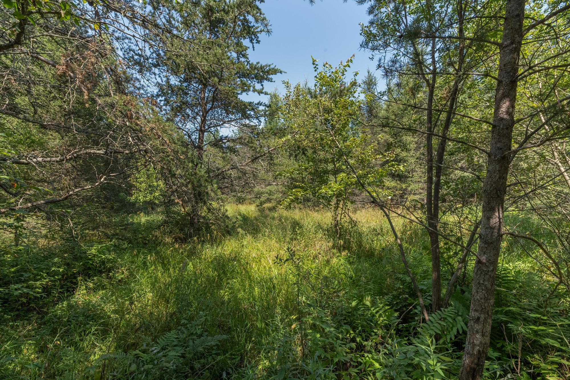 On Hay Meadow Road Rhinelander, WI 54501 - Photo 5 of 20 Gallery Image 5