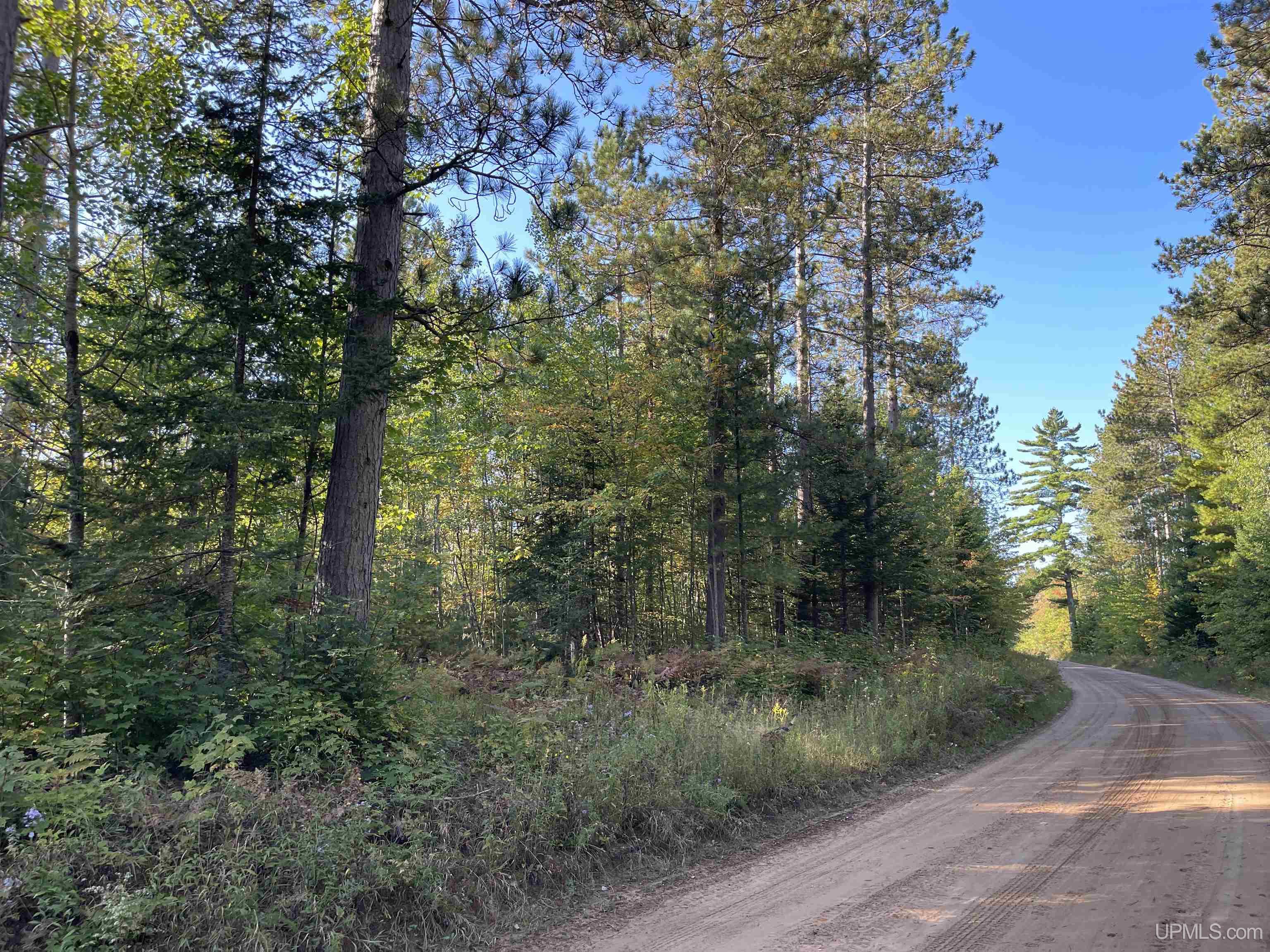 Tbd Coutny Road 436 Road Gulliver, MI 49840 - Photo 25 of 35 Gallery Image 25