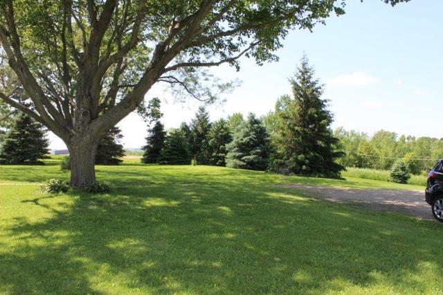 19567 Mathew Road Morrison, IL 61270 - Photo 9 of 62 a view of field with trees in the background