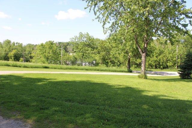 19567 Mathew Road Morrison, IL 61270 - Photo 10 of 62 a view of a yard with a large trees