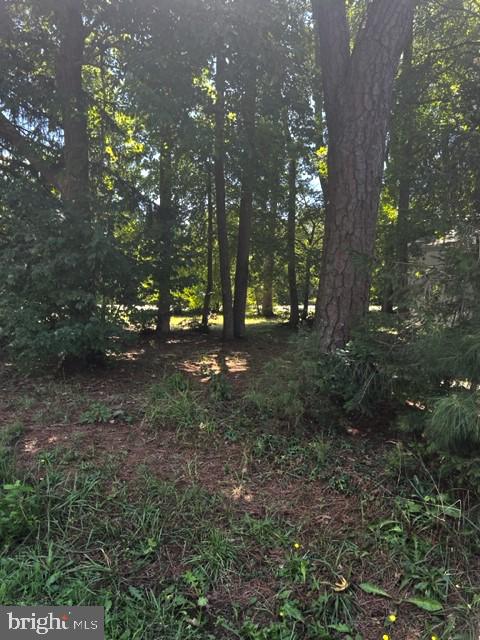 37704 Maple Street Ocean View, DE 19970 - Photo 4 of 4