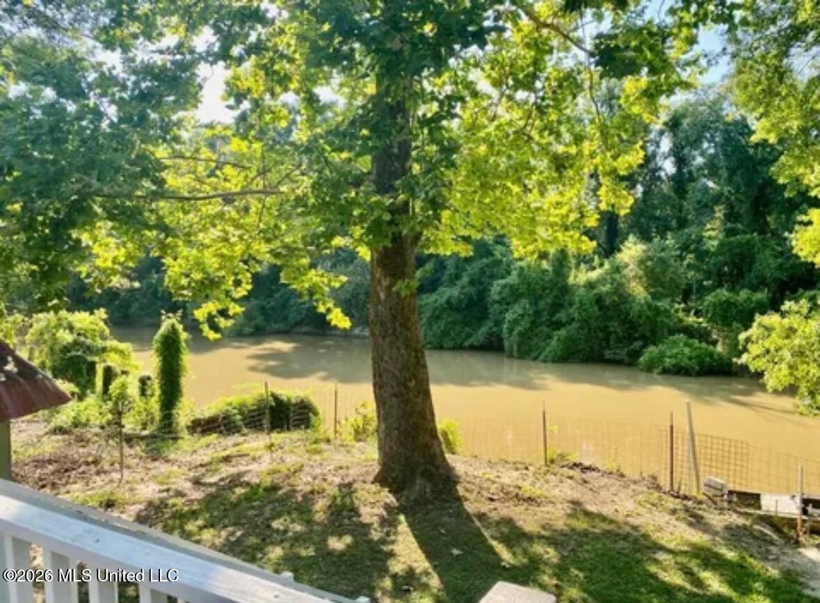 68 Oak Point Road Picayune, MS 39466 - Photo 28 of 32 68 Oak Point - River 1