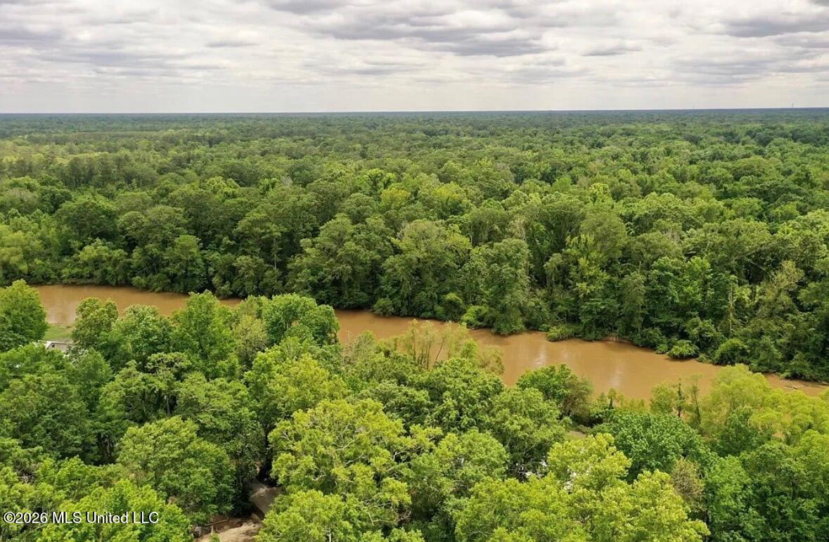 68 Oak Point Road Picayune, MS 39466 - Photo 31 of 32 River 4