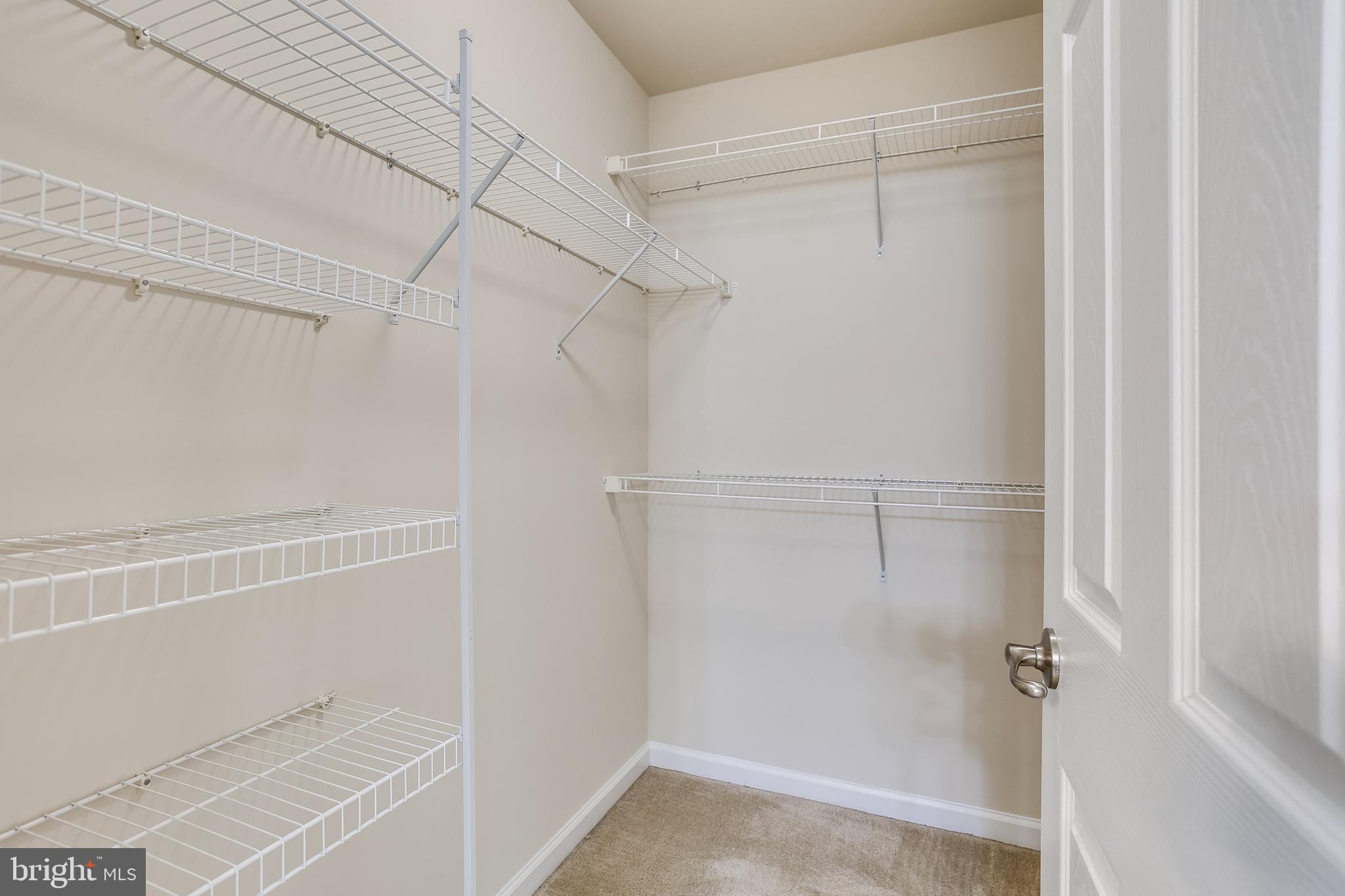 7170 Long View Road Columbia, MD 21044 - Photo 22 of 51 Walk-in Closet