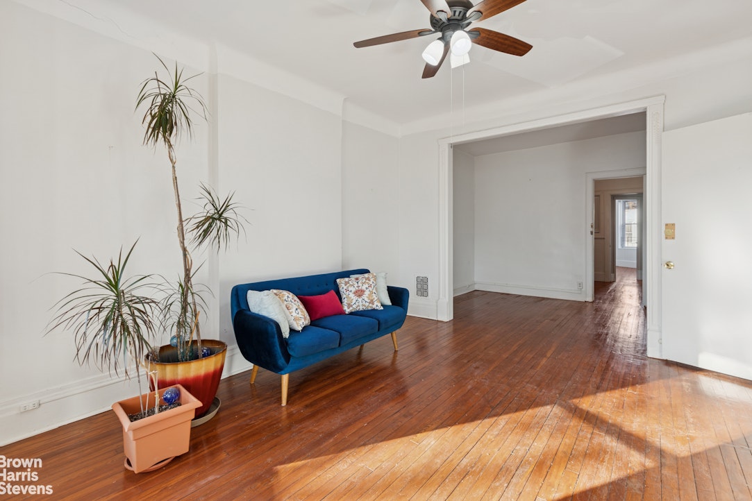 251 Rutland Road Brooklyn, NY 11225 - Photo 5 of 16 a living room with furniture and a potted plant