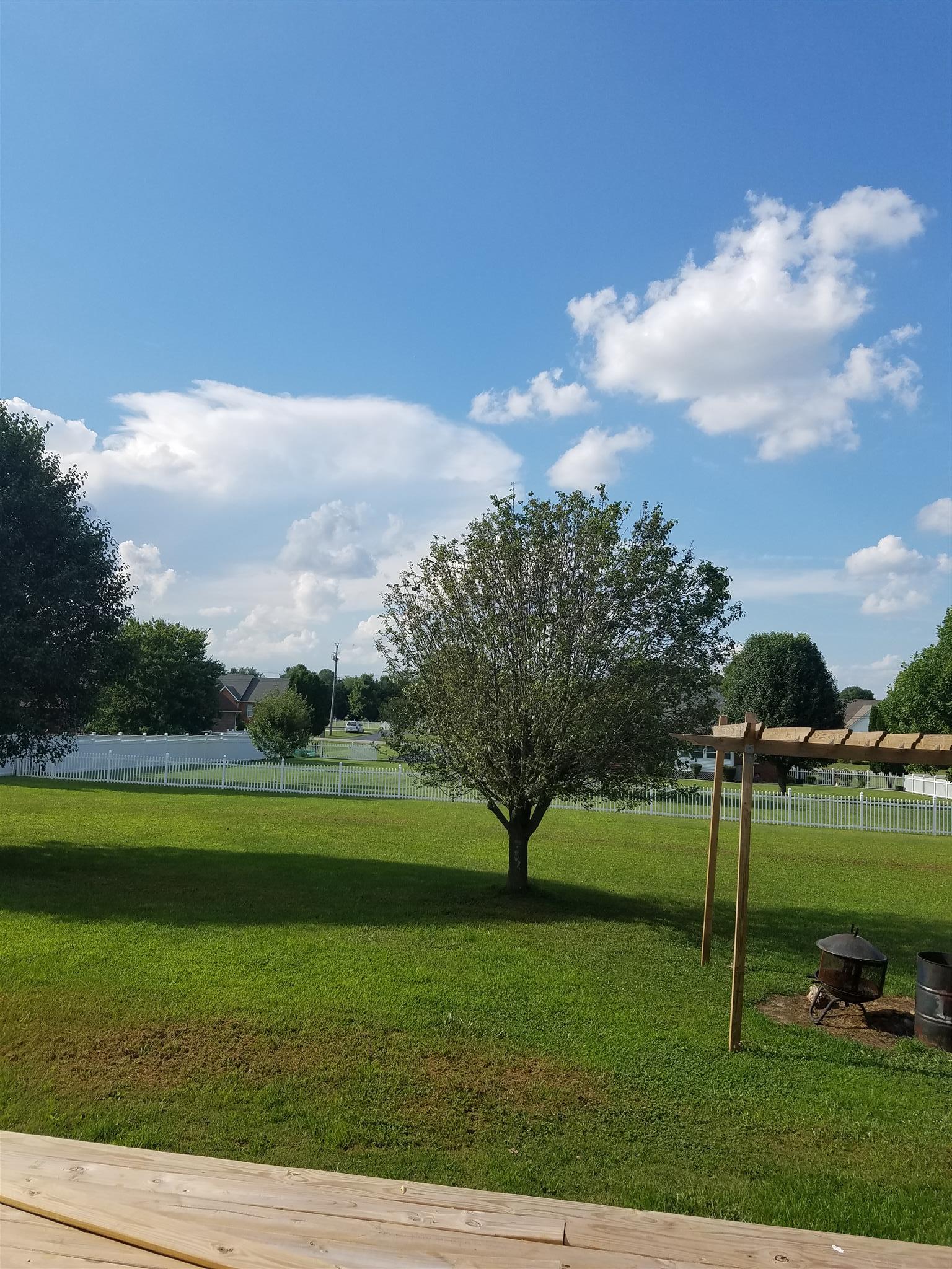 337 Brandon Road Manchester, TN 37355 - Photo 1 of 16 a view of a golf course with a lake