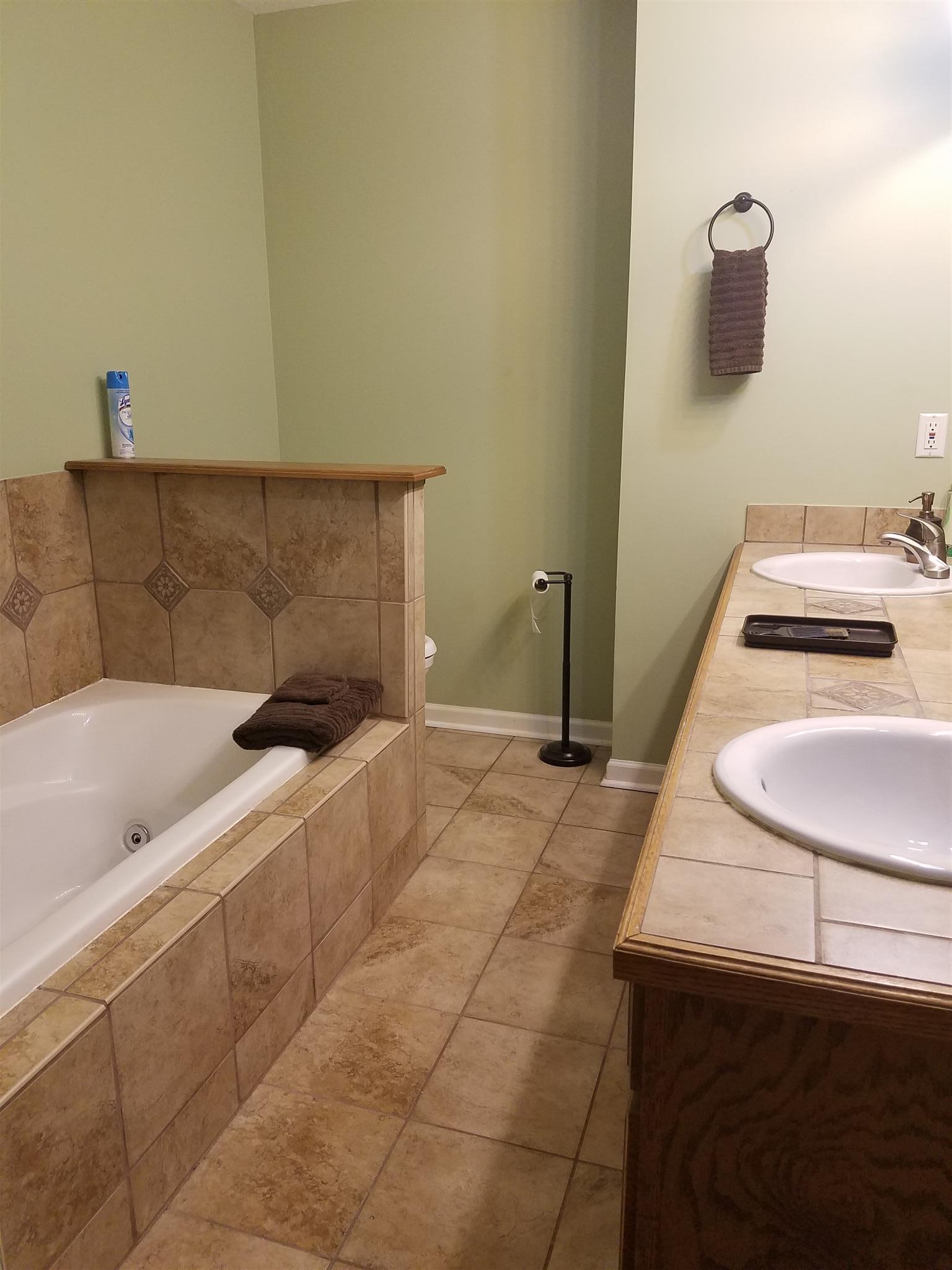 337 Brandon Road Manchester, TN 37355 - Photo 13 of 16 a bathroom with a sink and a mirror