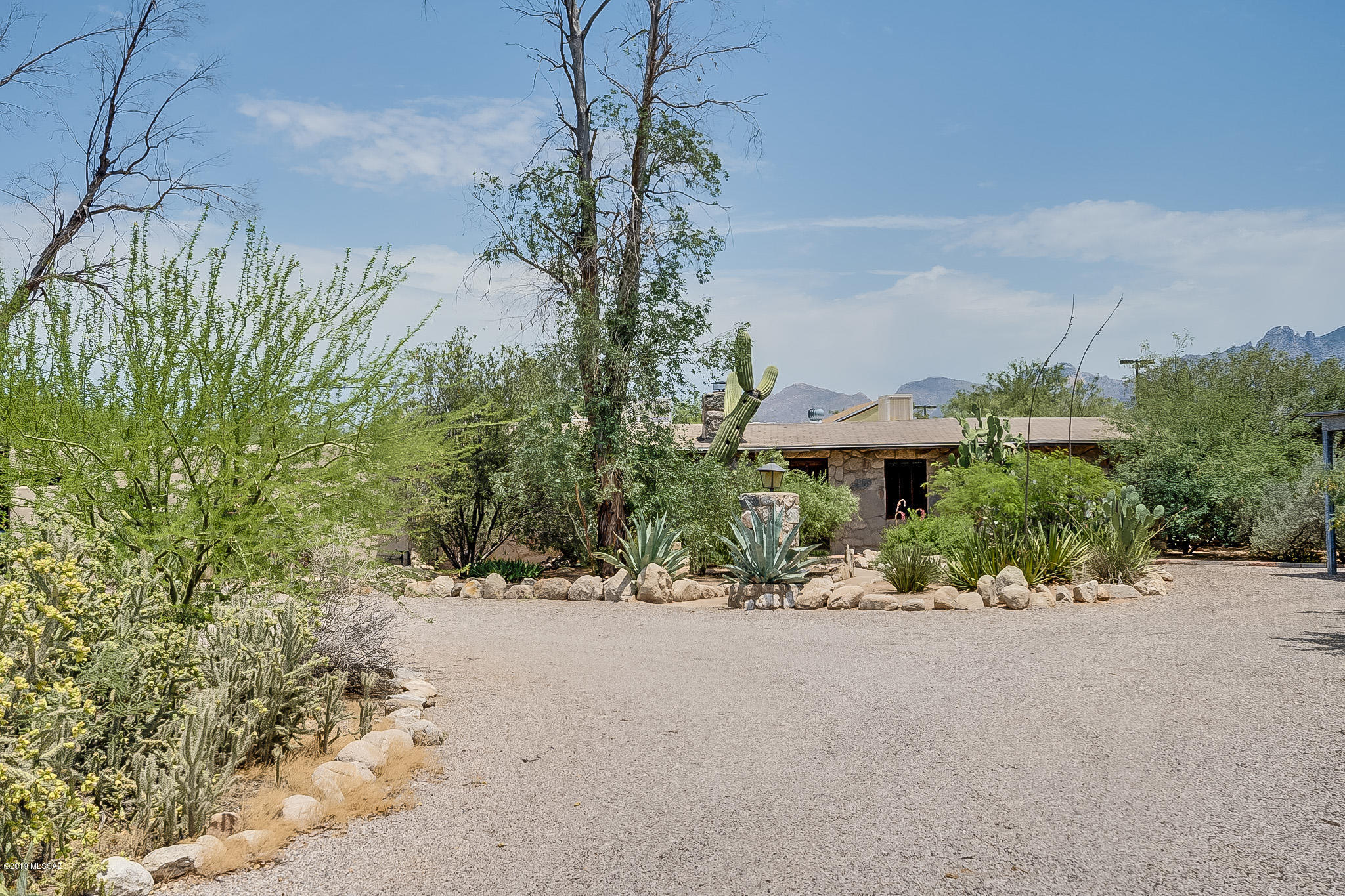 207 East Pastime Road Tucson, AZ 85705 - Photo 3 of 42
