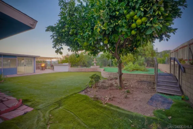 a view of a backyard with a garden