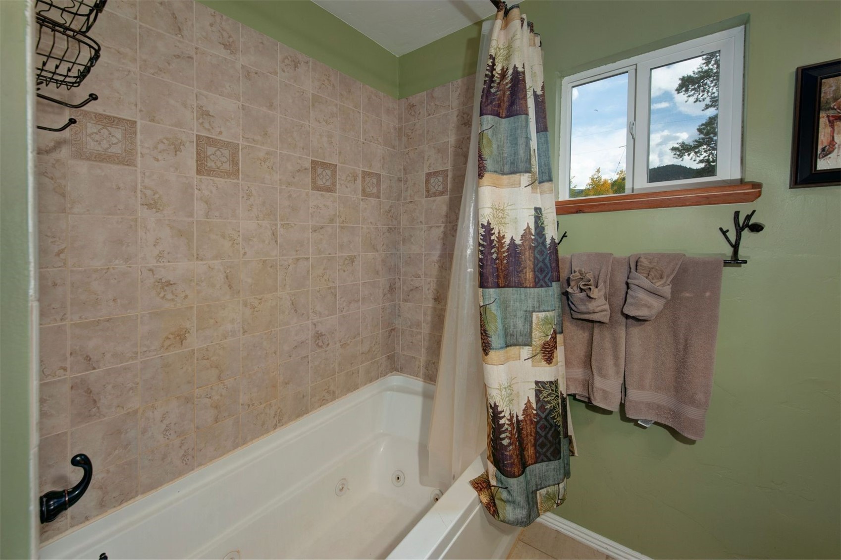 89 Mine Road Alma, CO 80420 - Photo 16 of 35 Gallery Image 16