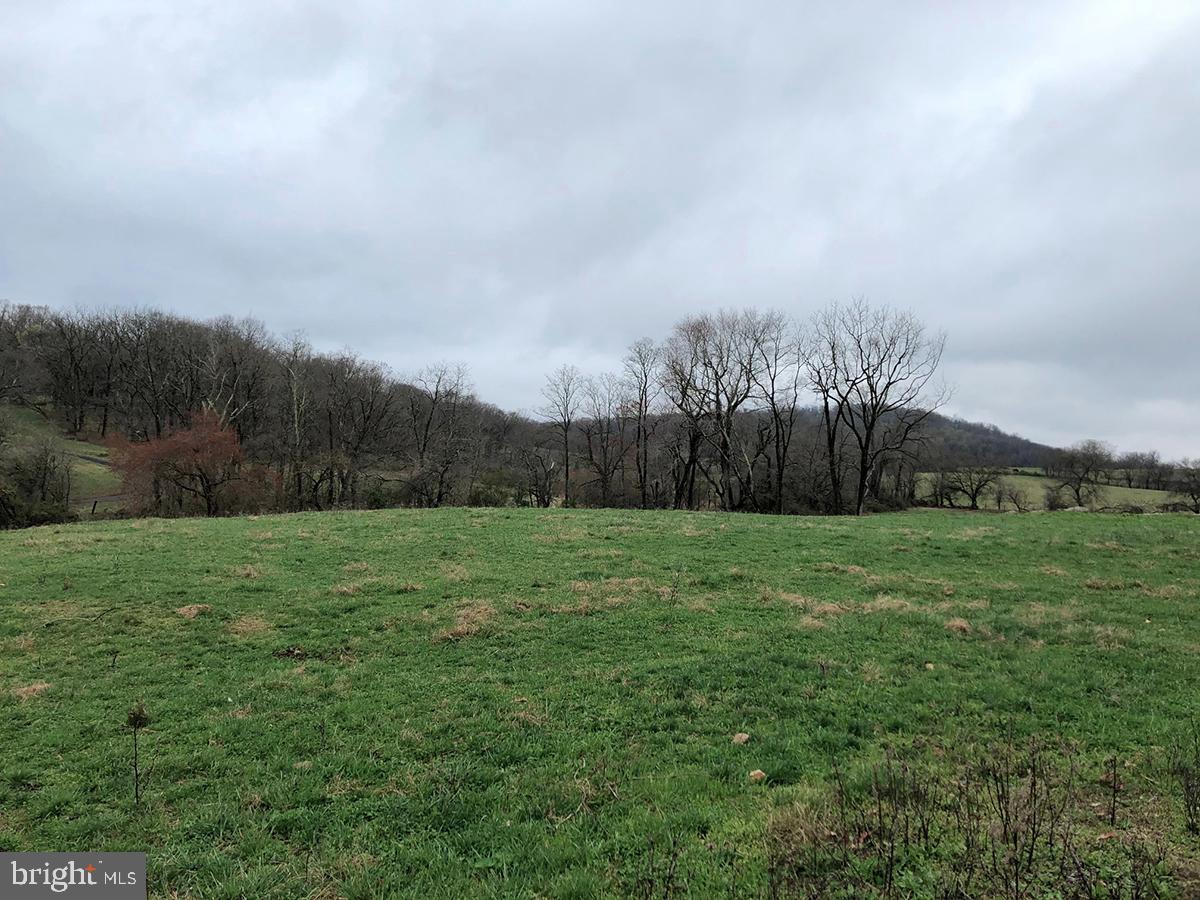 Delaplane Grade Road Delaplane, VA 20144 - Photo 1 of 5 Gallery Image 1