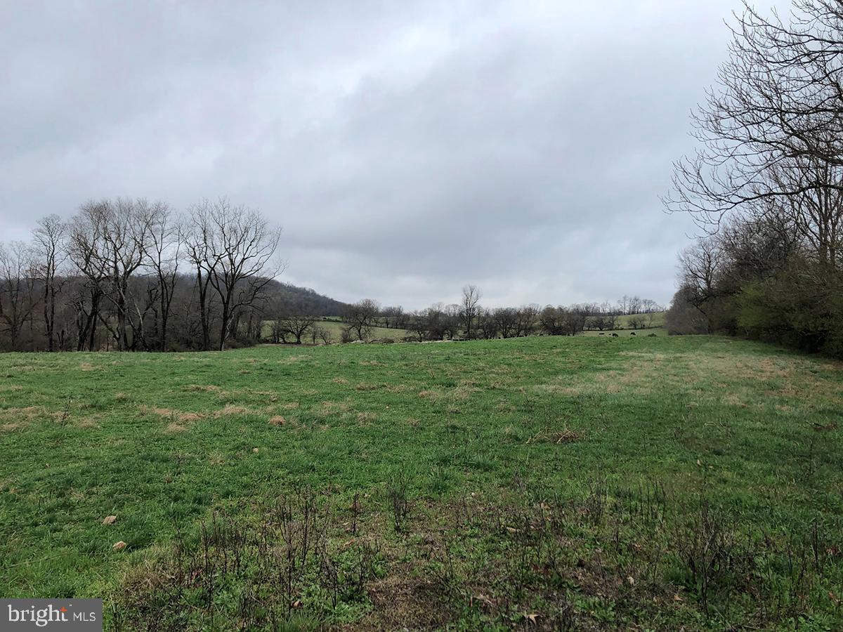 Delaplane Grade Road Delaplane, VA 20144 - Photo 4 of 5 Gallery Image 4