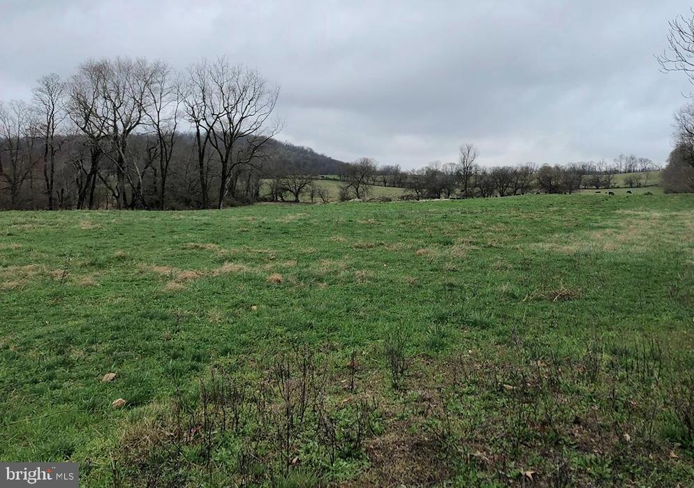 Delaplane Grade Road Delaplane, VA 20144 - Photo 5 of 5 Gallery Image 5