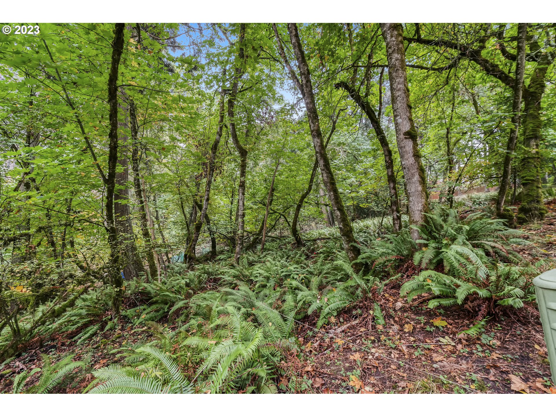 a view of outdoor space and garden