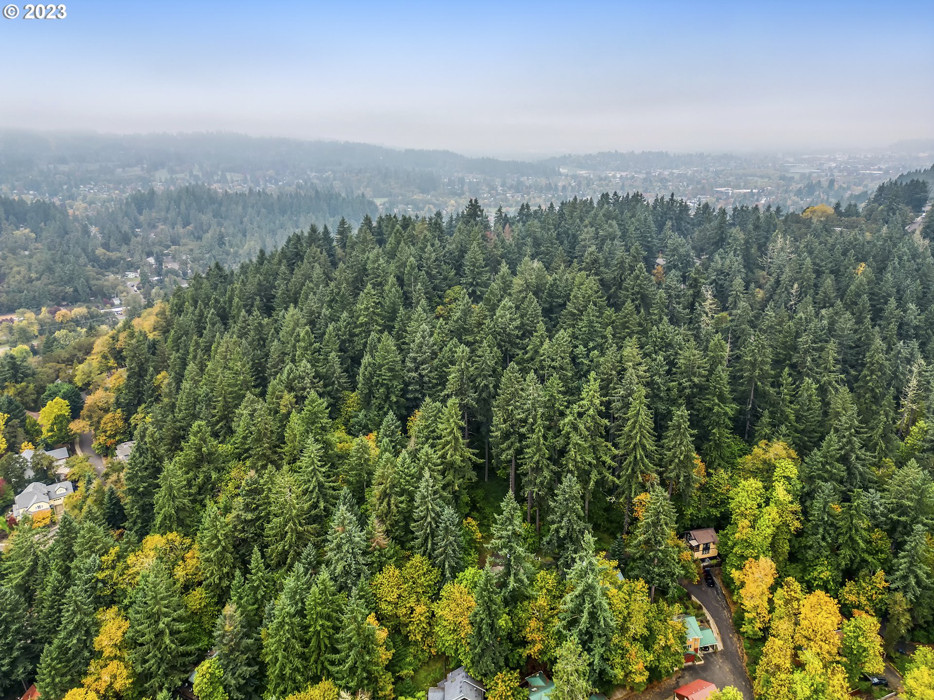 North Shasta Loop Eugene, OR 97405 - Photo 2 of 4 a view of a city with lush green forest