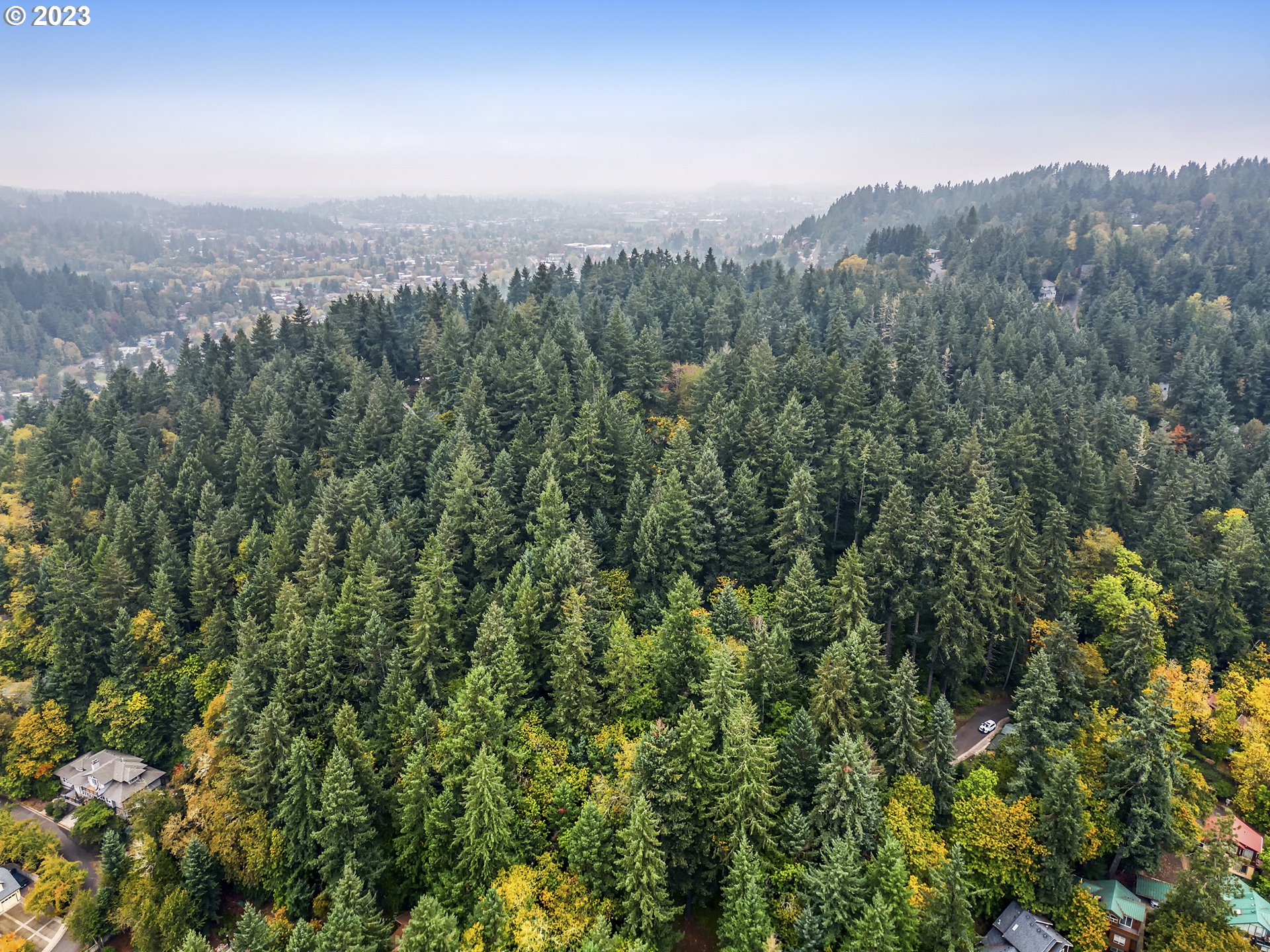 North Shasta Loop Eugene, OR 97405 - Photo 4 of 4 a view of a city with lush green forest
