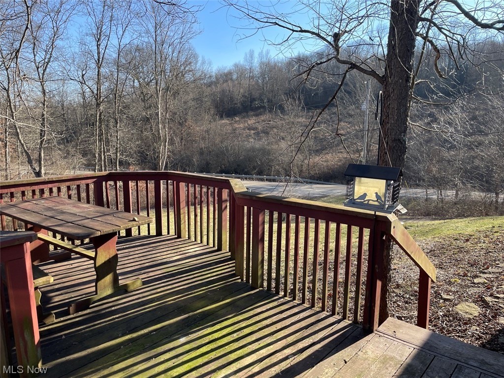 8058 Scio Road Scio, OH 43988 - Photo 7 of 19 View of wooden terrace