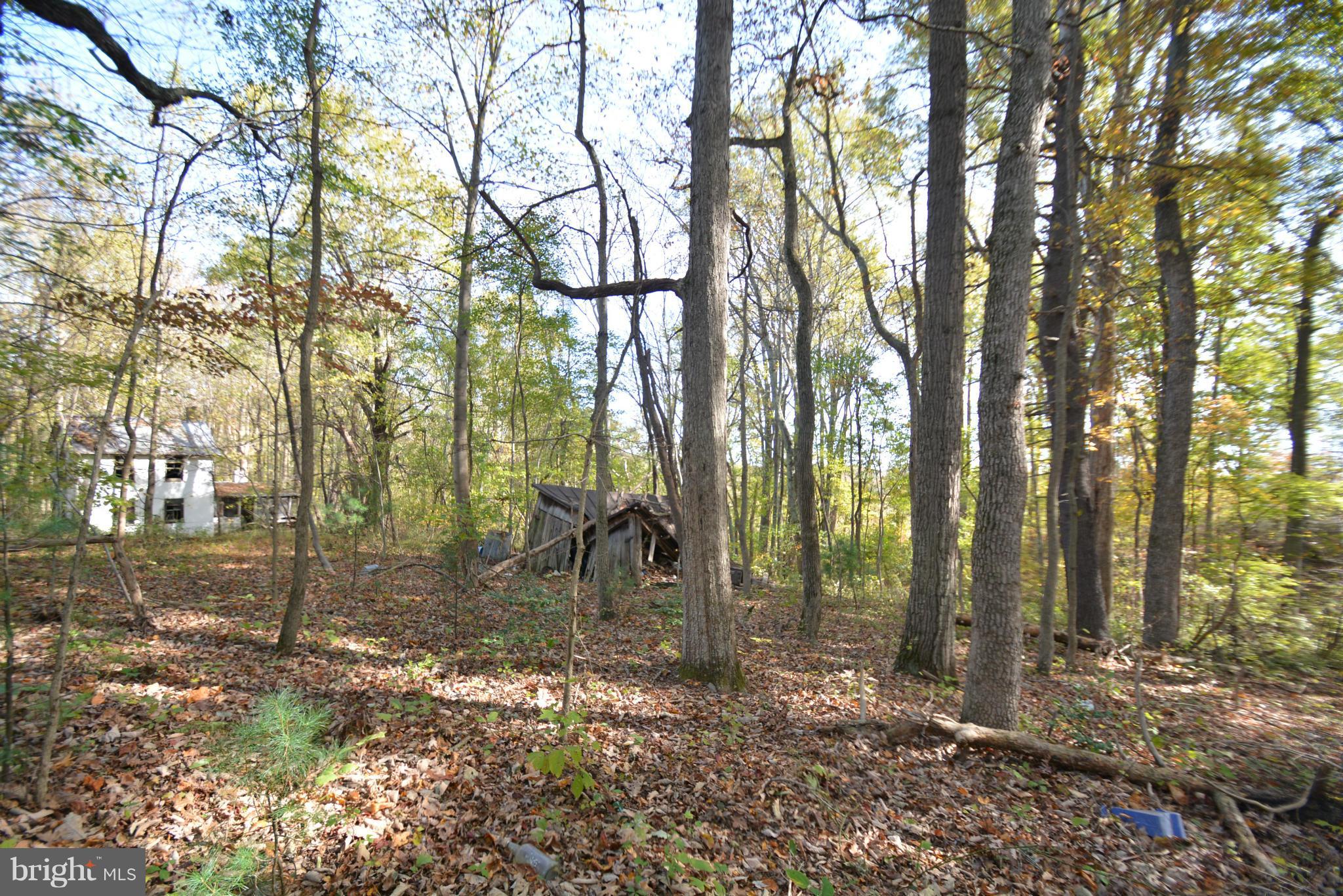 0 Free State Road Marshall, VA 20115 - Photo 3 of 8 a backyard of a house with lots of green space