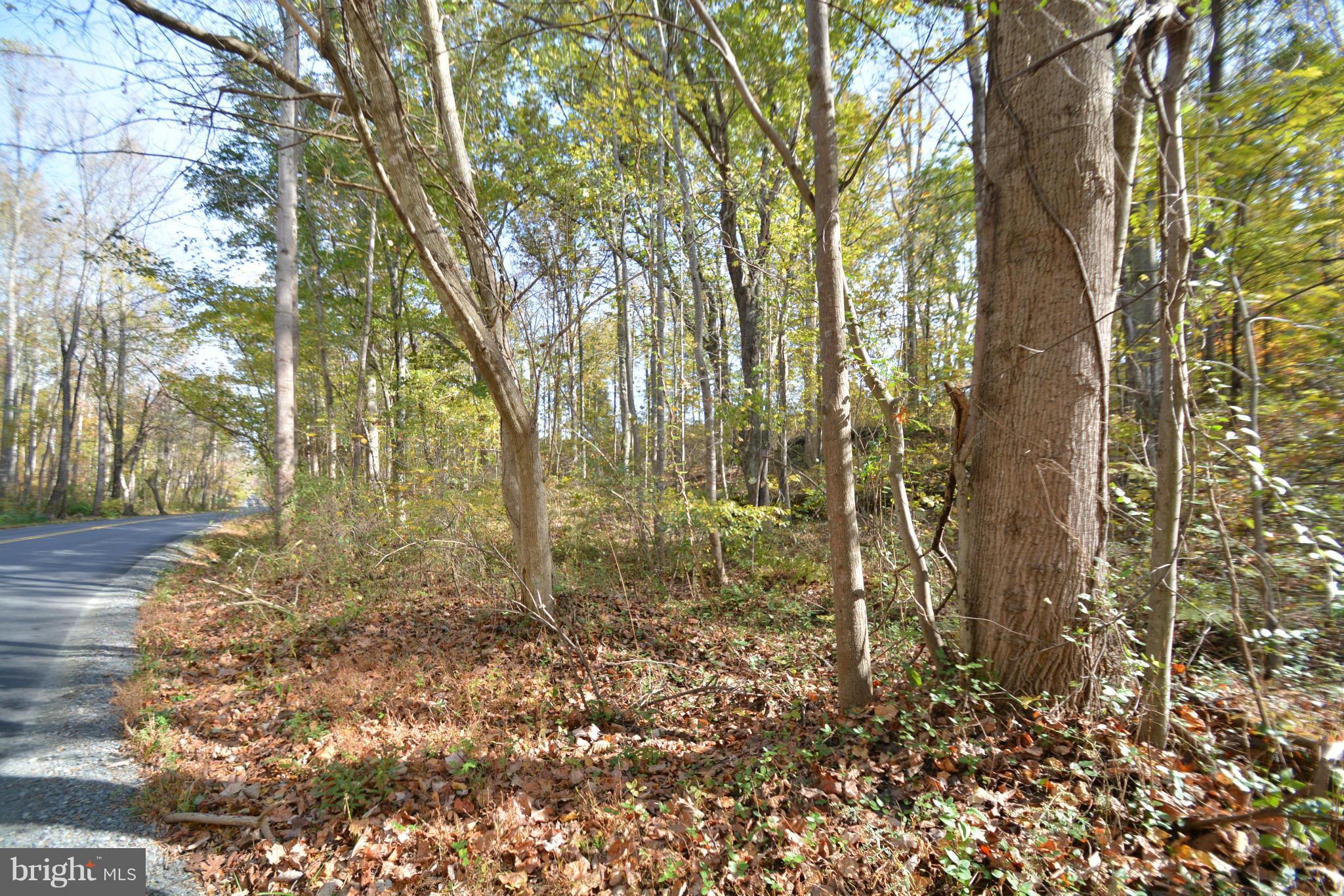 0 Free State Road Marshall, VA 20115 - Photo 8 of 8 a view of a yard with trees