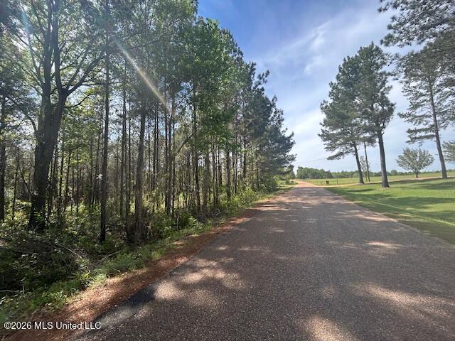 West Smith Ferry Road Sontag, MS 39665 - Photo 1 of 10 IMG_3877