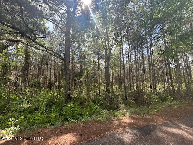 West Smith Ferry Road Sontag, MS 39665 - Photo 3 of 10 IMG_3878