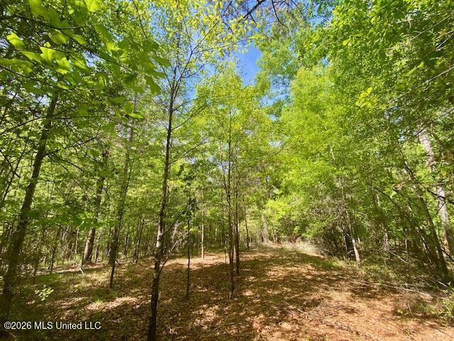 West Smith Ferry Road Sontag, MS 39665 - Photo 4 of 10 IMG_9650