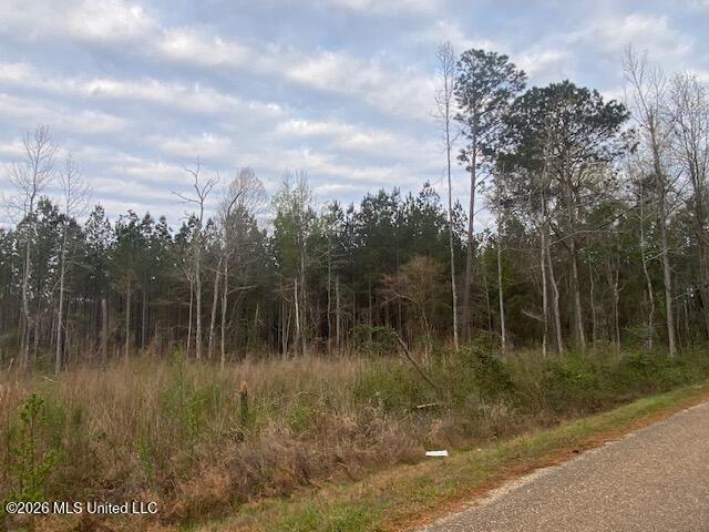 West Smith Ferry Road Sontag, MS 39665 - Photo 5 of 10 IMG_9316