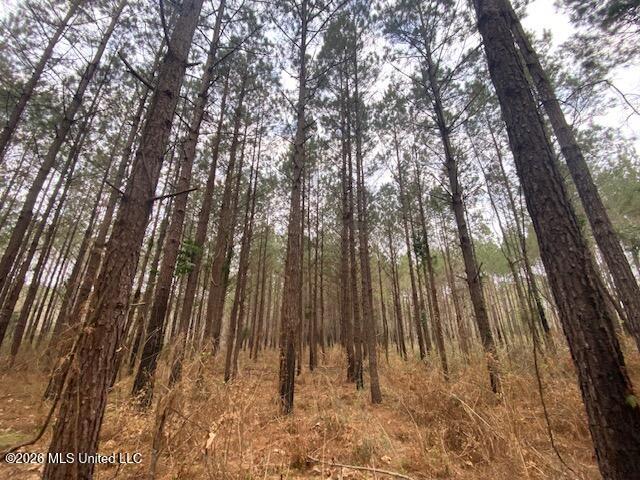 West Smith Ferry Road Sontag, MS 39665 - Photo 8 of 10 IMG_9320