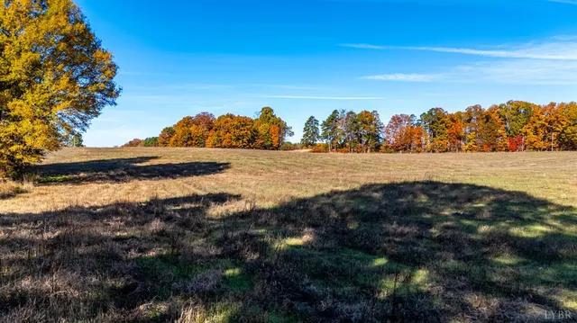 a view of backyard with swimming pool