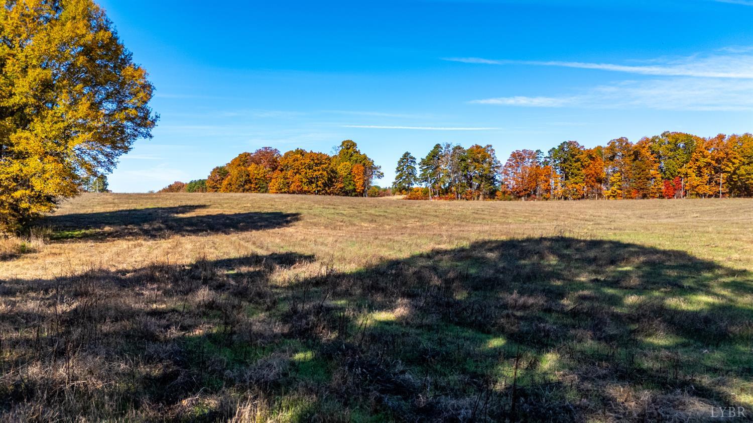 0 Hat Creek Road Brookneal, VA 24528 - Photo 2 of 31