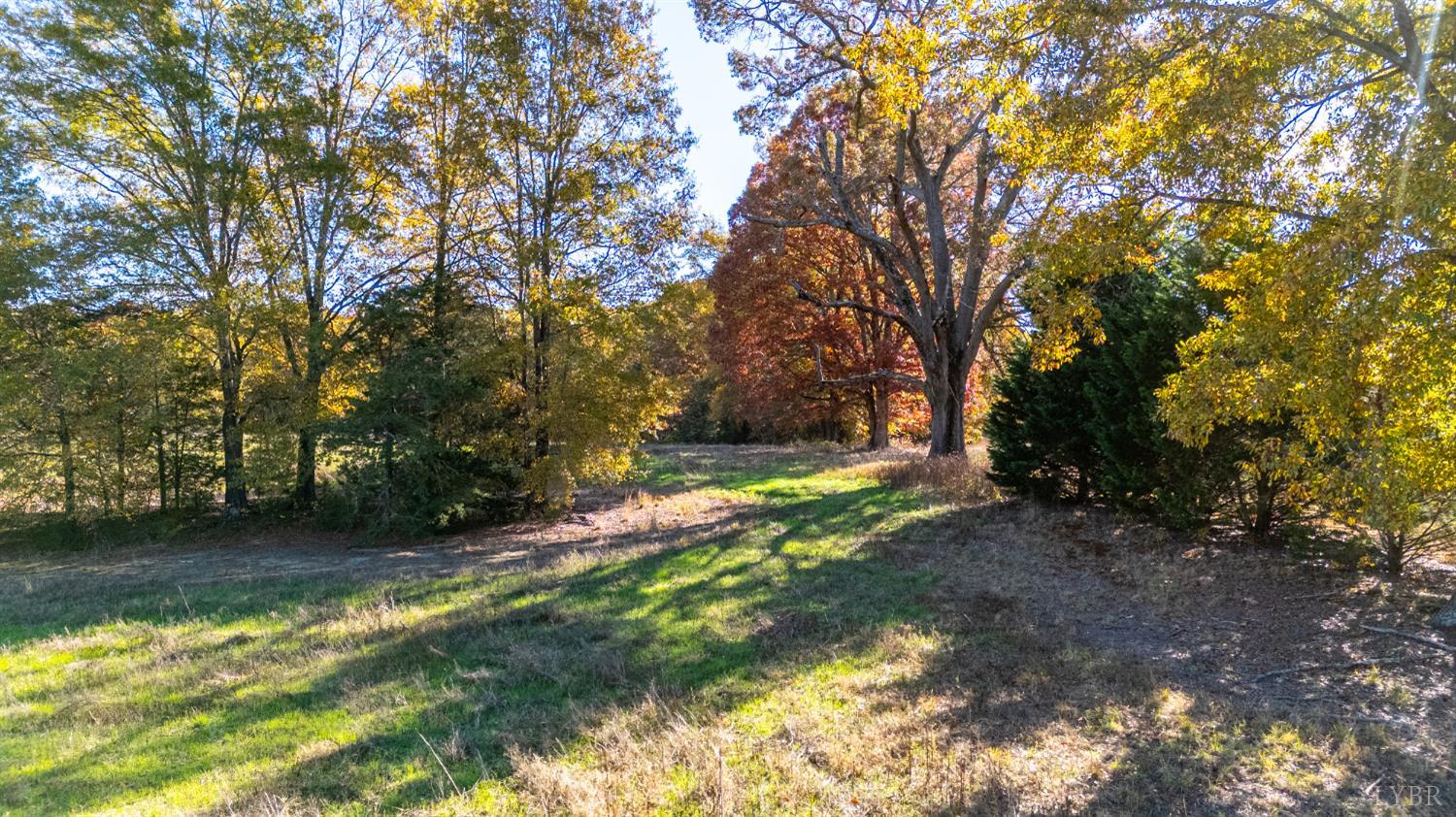 0 Hat Creek Road Brookneal, VA 24528 - Photo 3 of 31