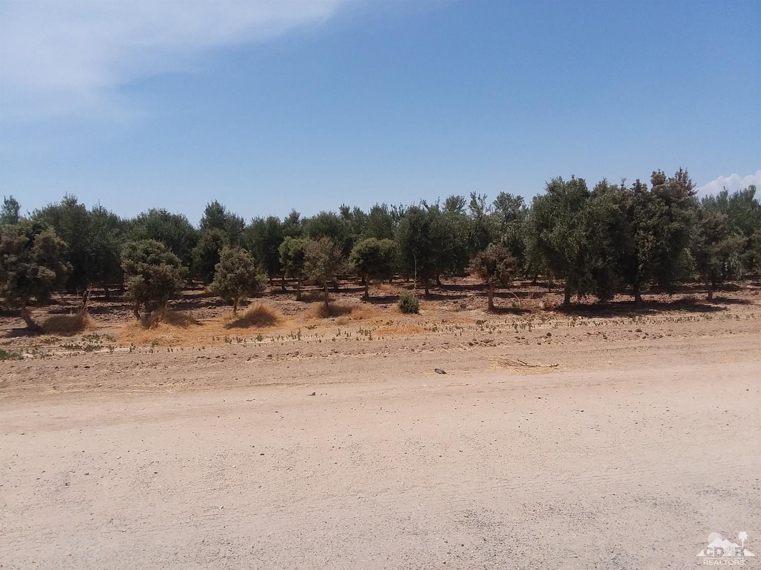0 Barth Brawley, CA 92227 - Photo 4 of 39 a view of ocean beach